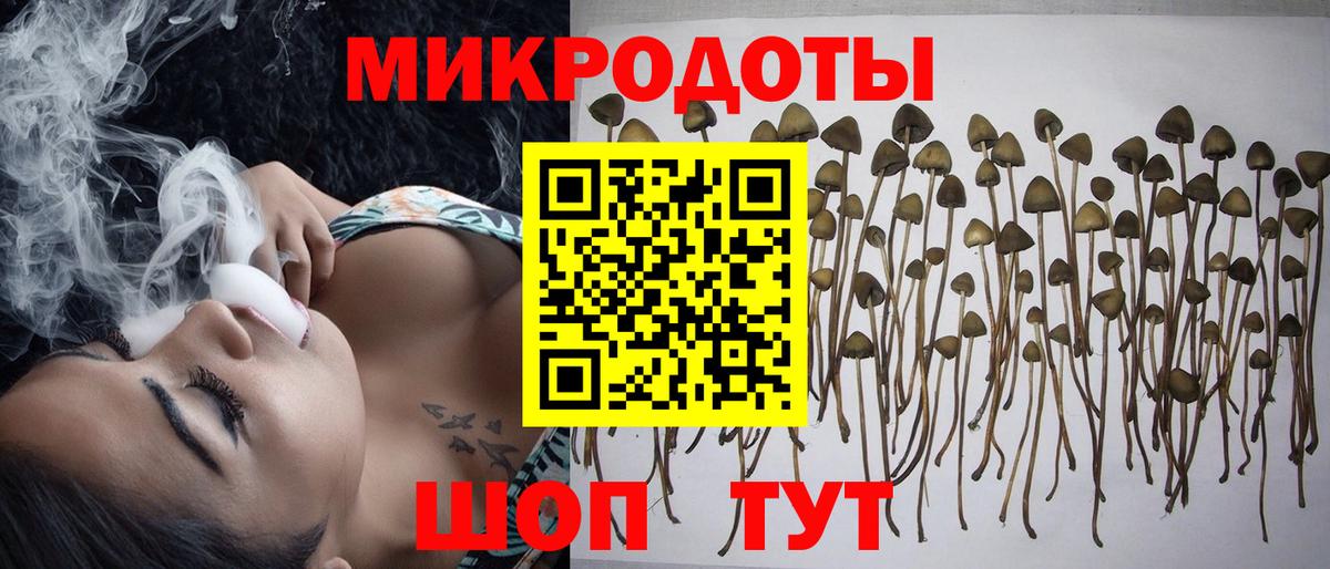 Псилоцибиновые грибы Cubensis  Вход с VPN  Саянск 