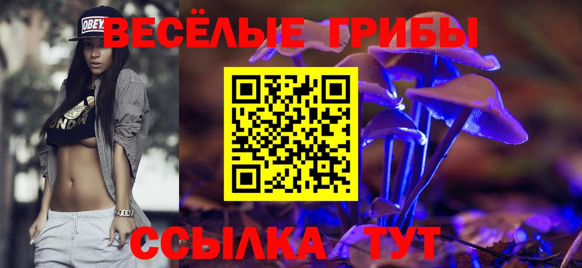 Псилоцибиновые грибы Psilocybe Саянск